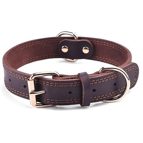 best high end dog collars.